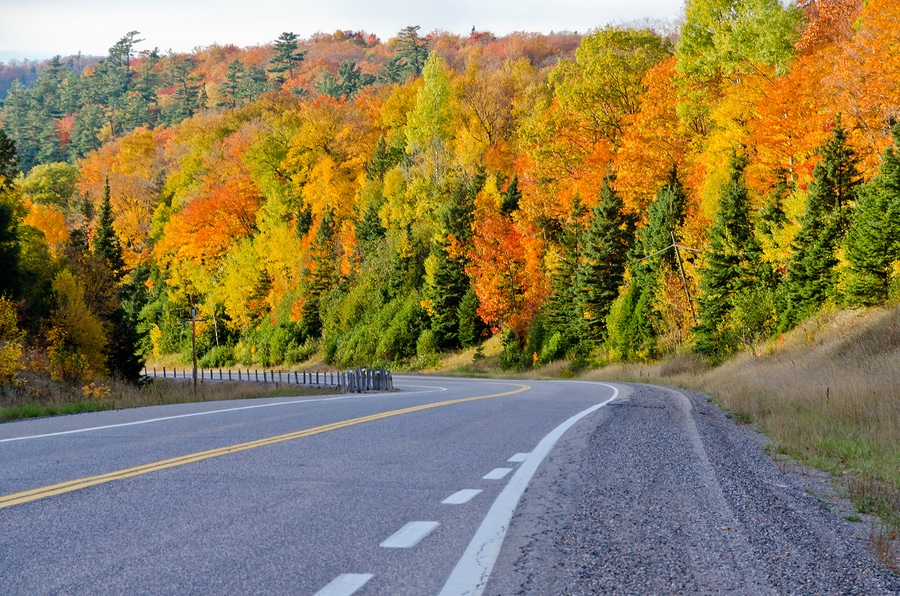 Discover The Beautiful Fall Foliage Adventures In Duluth